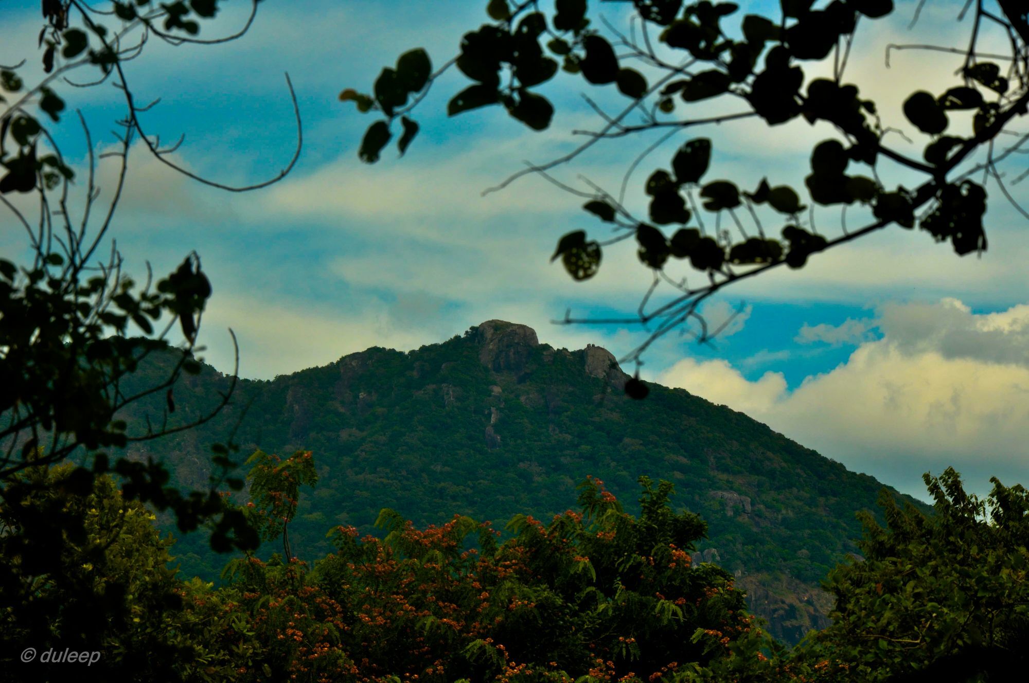 Amaranta Classic Retreat Bambaragaleyaya Luaran gambar
